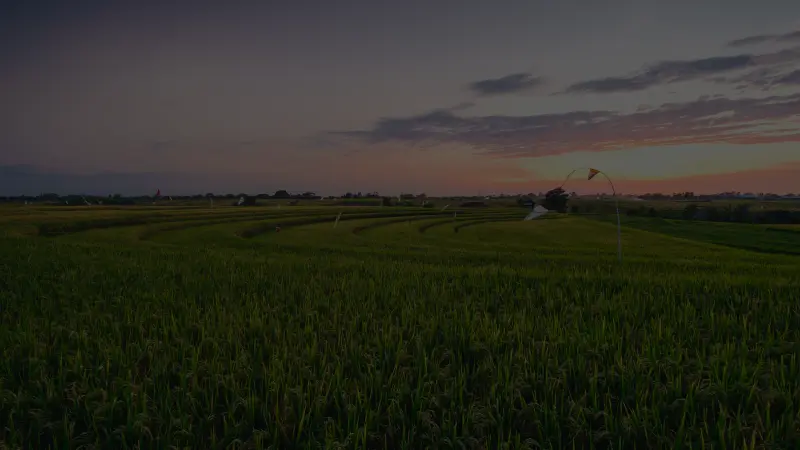 Abdullah Farm